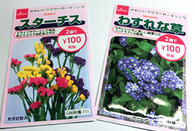 100円ショップ 花の種子 スターチス わすれな草 かわいいフラワーガーデニング 花の種 たね 100均 百均 使ってみたらいいかんじ 文具 雑貨